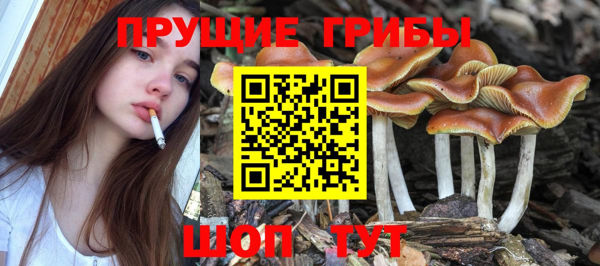 Псилоцибиновые грибы Magic Shrooms  Вход с VPN  Белая Калитва  Псилоцибиновые грибы MAGIC MUSHROOMS 