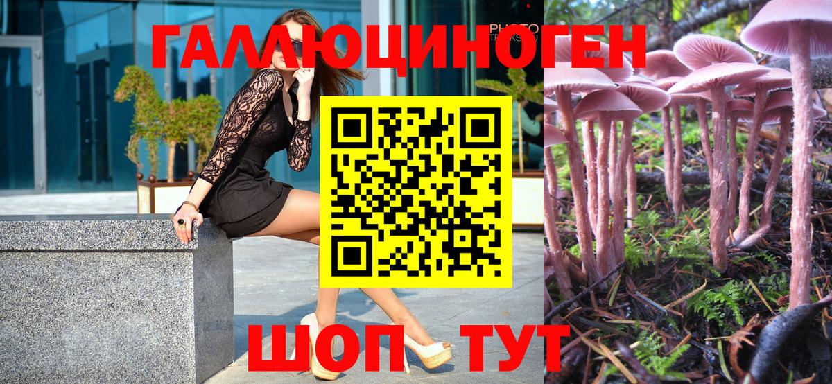 Псилоцибиновые грибы мухоморы Белая Калитва